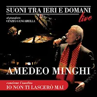 Amedeo Minghi — Io Non Ti Lascerò Mai — обложка
